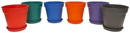 Mintra Garden Pots, 6 Pack Bulk Plastic Plant Pots with Drainage Tray, Round Indoor & Outdoor Decorative Planters with Drain Holes for Flowers, Herbs & Plants, 17cm Diameter – Assorted, 6.6 in