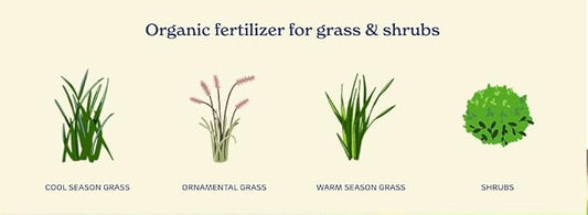 True Organic Lawn Food – Fast-Acting Lawn Fertilizer with 1% Iron for Rapid Green-Up and Root Growth – 25lbs Covers up to 6,000 Sq. Ft.