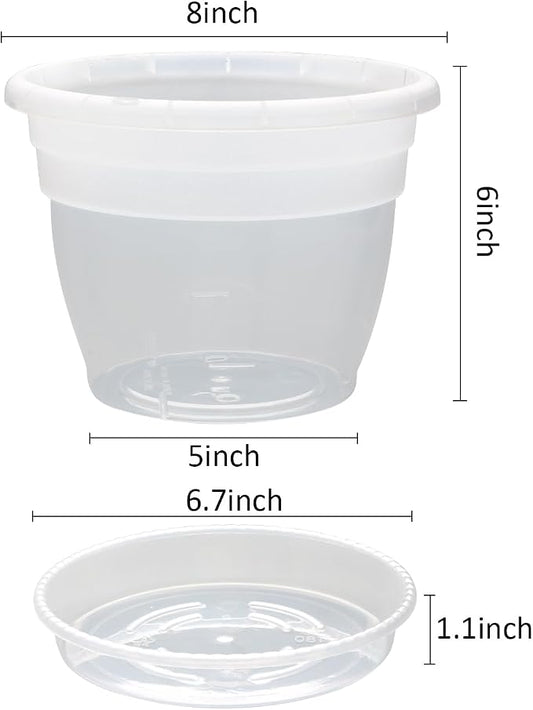 RooTrimmer 8 Inch Clear Nursery Pots with Drainage Holes and Clear Saucers,Transparent Flower Planters for Indoor Outdoor Plants,Thick Plant Pots for Herbs Succulents (10 Pack)