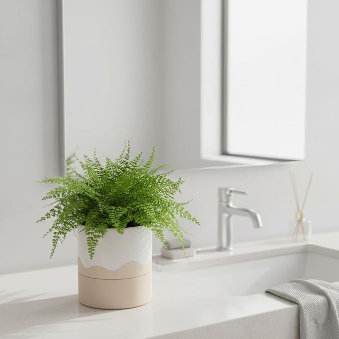 Nihow Ceramic Self Watering Plant Pot for Indoor Plants, 6 Inch,Cream White | Planter with Cotton Wick, Drainage Hole & Water Storage Plus, Cylinder Round Flower Pot, For Succulent/Herbs/Violets