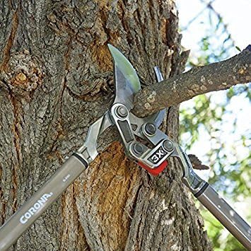 Corona Tools 33" Bypass Loppers – Heavy-Duty Branch Cutter with DualLINK MAXFORGED Cutting Strength for Branches up to 2 Inches