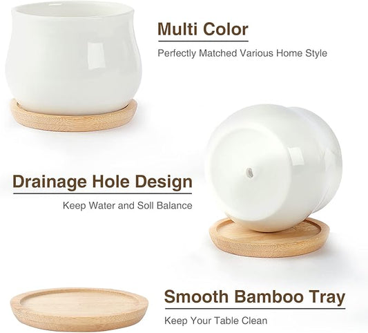 SHECIPIN 12 Pack Succulent Plant Pot, Mini 2.6 inch Ceramic Flower Planter Pot with Bamboo Tray, Small Pots for Plants, Plants Not Included (White, Black)