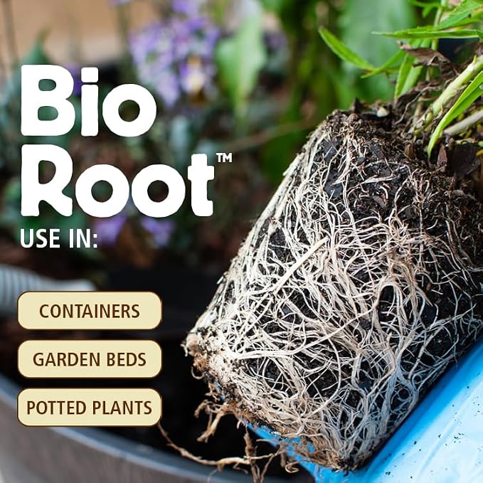 General Organics BioRoot 0-1-1 Root & Plant Food – Liquid Formula for Seedlings, Cuttings, Transplants & Container Gardens – Supports Strong Root Growth, 1 Quart