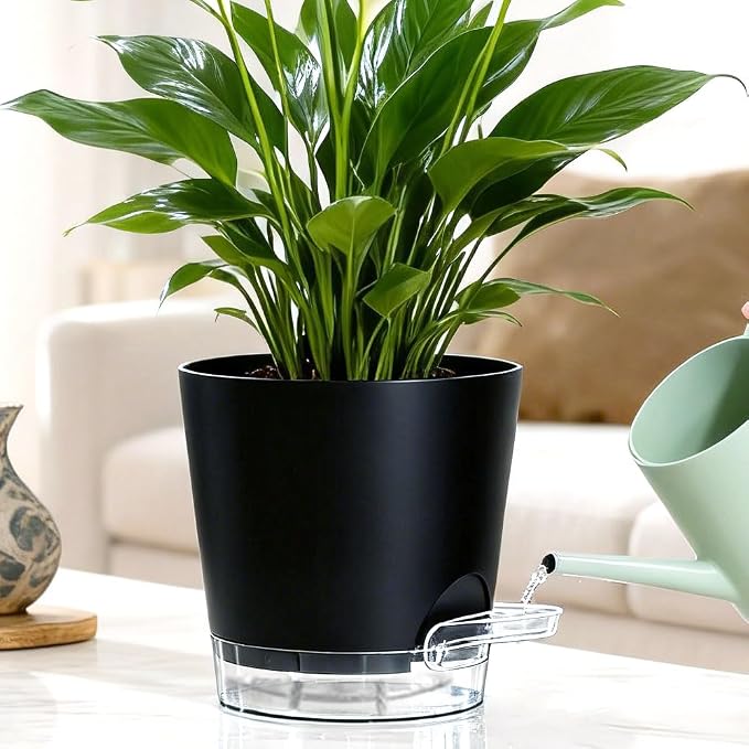 Self Watering Pots for Plants, 2026 New Flower Plant Pots with Drainage Holes, Wicking and Clear Reservoirs for Succulent, Aloe, Cacti and Others - 6 Pack (Black, 4")