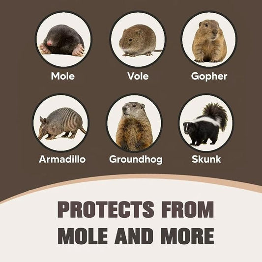 Mole Repellent for Lawns, Armadillo Repellent, Mole Deterrent for Yard, Groundhog Repellent Outdoor, Vole Repellent Outdoor, Gopher Repellent, Gentle on People, Pets & Plants, 8 Packs