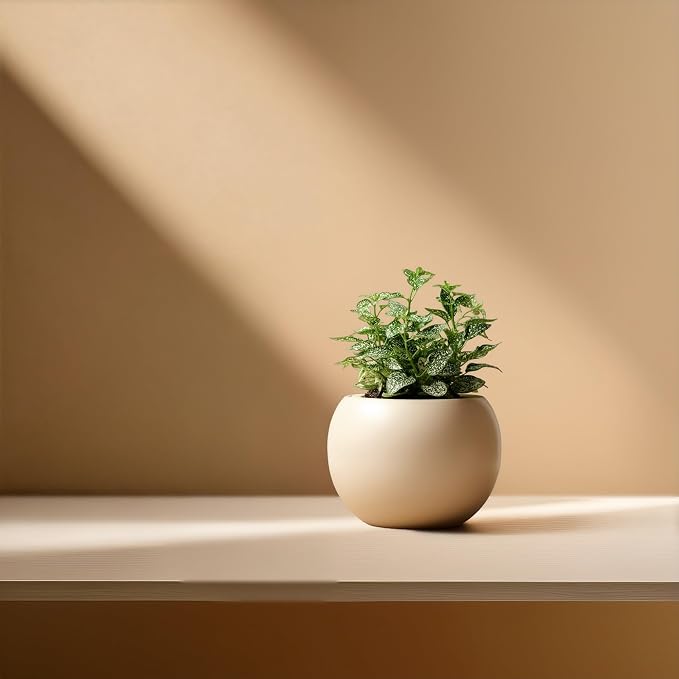 Ceramic Self Watering Plant Pot | 6.8 Inch Pot with 4.5 Inch Inner Pot for Small Plants | Ivory Pot for Indoor Plants | Round Self Watering Planter | Bottom Watering Pots for Indoor Plants