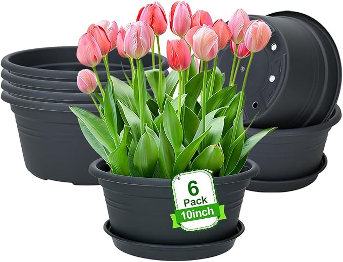 MRPAPA 10 Inch Plastic Pots 6 Pack Outdoor Round Planters with Drainage Hole & Tray Saucer, Lightweight Indoor Flower Decoration Pots for Home,Patio & Garden (Dark Grey)
