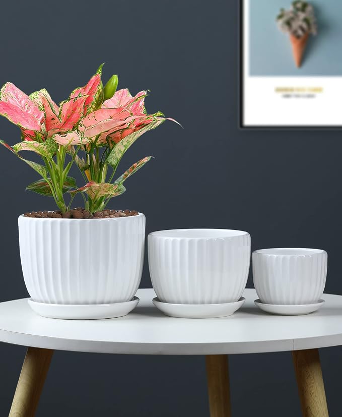 Ton Sin White Plant Pots Set of 3,Indoor Ceramic Flower Pot with Saucers,6.7"&5.5"&3.9" Inch Small to Medium Sized Planters for Plants,Round Modern Garden Pots