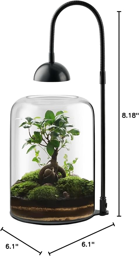 Glass Plant Terrarium with LED Grow Light, Adjustable Ventilation Desktop Indoor Planter for Venus Fly Trap, Moss & Succulents, 8.2" Borosilicate Mini Greenhouse for Home Office Decor