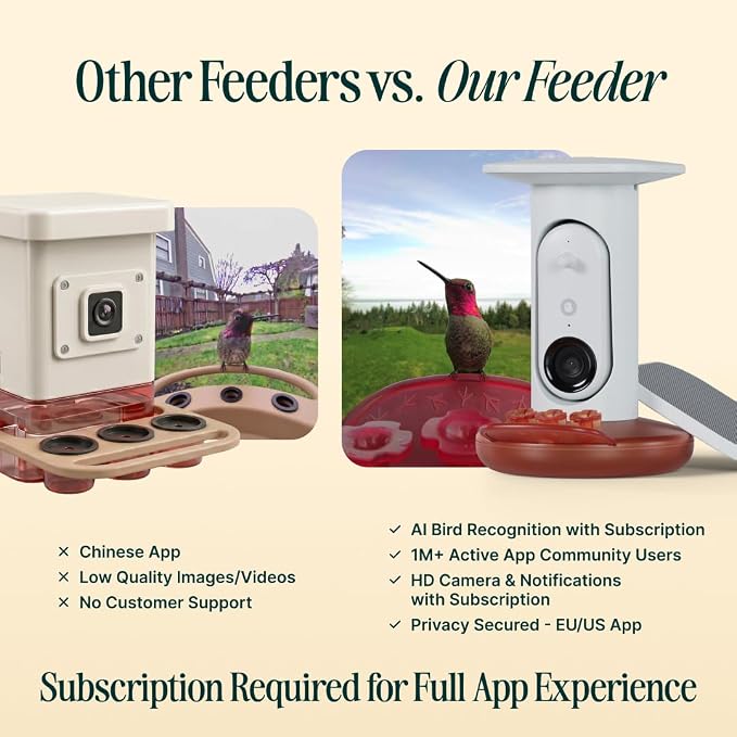 Birdbuddy Solar Hummingbird Feeder with Camera, AI Bird ID, 2K Video, Photo