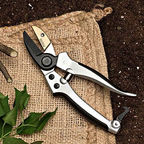 Pruning Shears - Garden Scissors Florist Snips - 2.5” Blades - Flower Scissors for Cutting Fresh Flowers, Trimming, or Harvesting Herbs or Fruit - Pruners for Gardening Tools by Kings County Tools