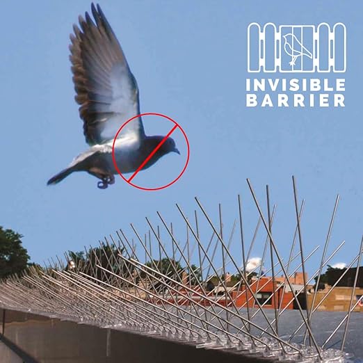 Bird-X Stainless Steel Bird Spikes, 8-inch Extra-Wide Spikes, Bird Spikes for Pigeons and Other Small Birds, Easy to Install, Contains 2 ft. Strips, Covers 10 Linear Feet Area, EWS-10