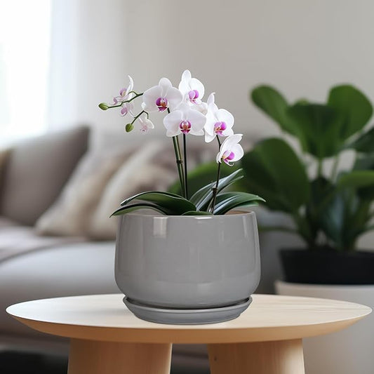 G EPGardening Ceramic Planter 7 Inch, Round, Modern, Grey | with Drainage, Ceramic Tray Included, Indoor Use, Flower & Home Decor