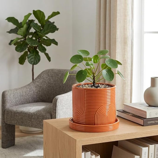 6 Inch Ceramic Plant Pot with Drainage Hole & Tray – Indoor Planter for Succulents, Herbs & Houseplants – Modern Ceramic Planter with Mesh Pad, Dibber & Widger – Terracotta