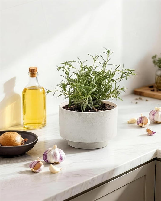 Succulent Pots, 8 Inch + 6 Inch Plant Pots with Drainage Hole, Indoor Outdoor Glazed Ceramic Planter, Set of 2 Modern Round Flower Pots for Plants, White