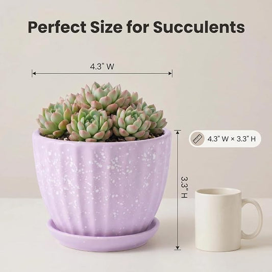 4 Inch Ceramic Indoor Succulent Plant Pots with Drainage Holes and Saucers, Bonsai Planter for Succulent, Cactus, Small Flowers (Pink)