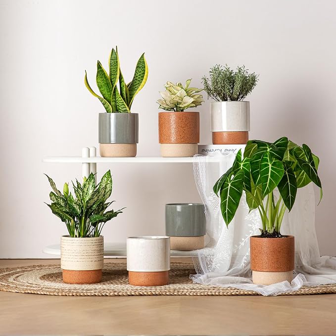 6 Inch Ceramic Self Watering Planter with Drainage Hole, Dark Grey | Indoor Plant Pot with Water Storage Plus - for African Violet, Herbs & Pothos - Home & Office Decor, Cylinder Round