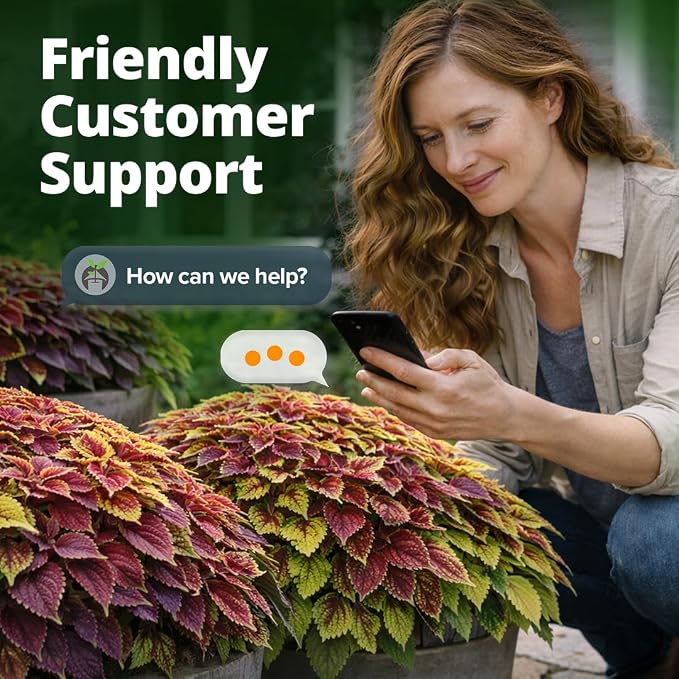HOME GROWN Coleus Rainbow Seeds – 400 Count 0.04 oz Flower Seed, Coleus scutellarioides 'Rainbow', Indoor Plant Seeds for Containers, Shade Gardens, Decorative Multicolor Foliage