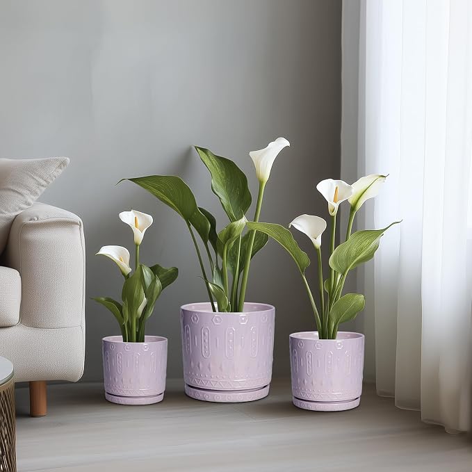 Eightpot Ceramic Plant Pots, 12 Inch Pots for Plants Indoor Outdoor, Round Planter with Drainage Hole and Tray, Modern Decorative Flower Pot, Home Apartment Decor, House Warming Gifts, Purple
