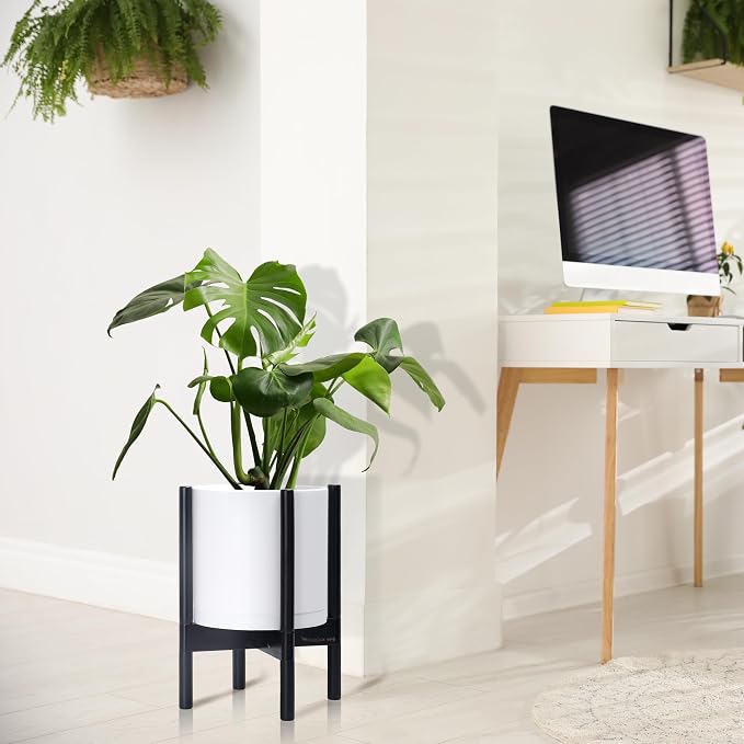 D'vine Dev Plastic Pot with Ebony Wood Stand, White, 10 in, 55-C-N-1 | Mid-Century Inspired Design, Elevated Plant Display, Clean Lines, Sturdy Support, Modern Space-Saving Style
