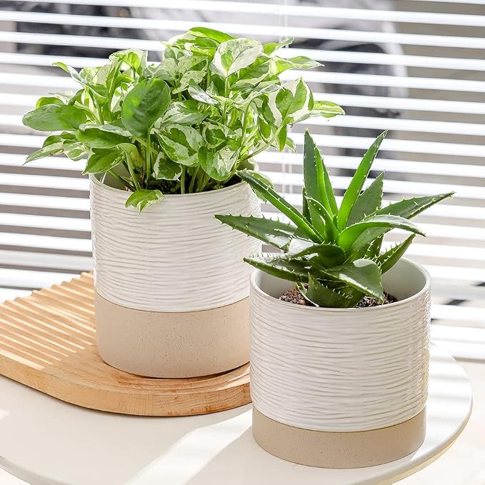 Nihow Ceramic Plant Pot,6 Inch Planter with Drainage Hole&Saucer for Indoor | Cream White & Brown,Indoor & Outdoor, Cylinder Round Flower Pot, For Succulent/Herbs/Violets