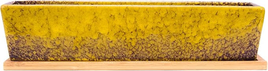 Succulent Pots - Large Succulent Planter Pots with Drainage, 12 Inch Long Rectangle Bonsai Pot with Bamboo Tray Shallow Ceramic Cactus Flower Planter Window Box for Home Garden Decor (Yellow)