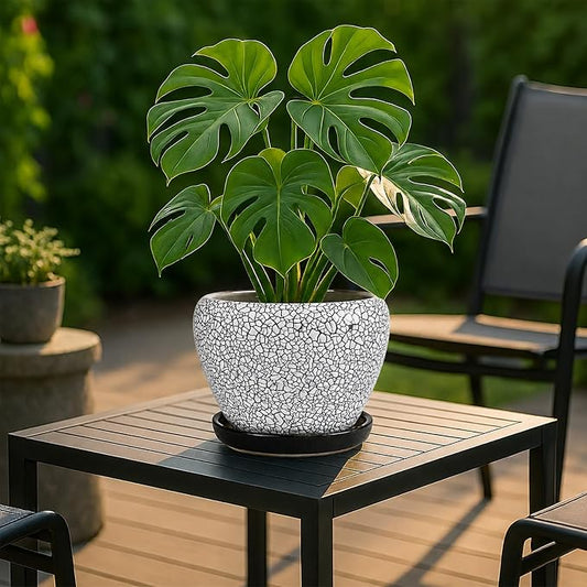 Deep Dream 8 Inch Plant Pots- Ceramic Pots for Plants with Drainage Hole and Saucer, Large Planter Pot for Indoor Plants Outdoor Decor, Wood Crack Black