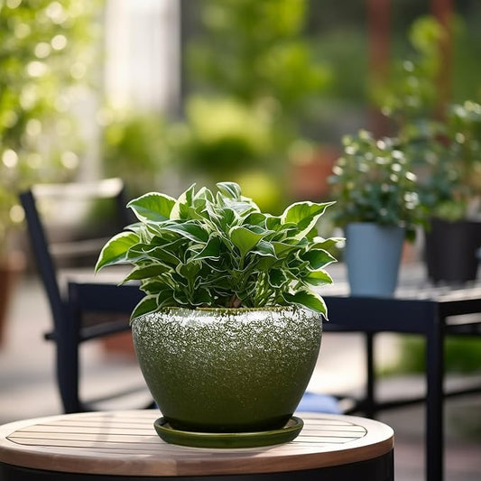 Ceramicfor 6 Inch Plant Pot - Ceramic Planter Pot with Drainage Hole and Saucer, Glaze Succulent Pot Modern Round Flower Pot for Indoor Plants, Dark Green
