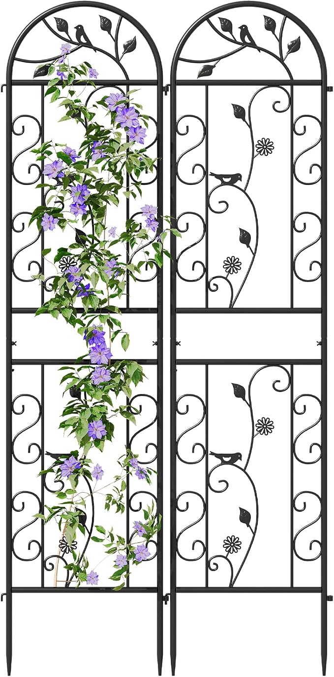 2-Pack 87" x 20" Daisy & Bird Arch Black Metal Garden Trellises | Set of 2 rust-resistant metal trellises with bird, daisy, and scrollwork details, spikes, and support for climbing plants
