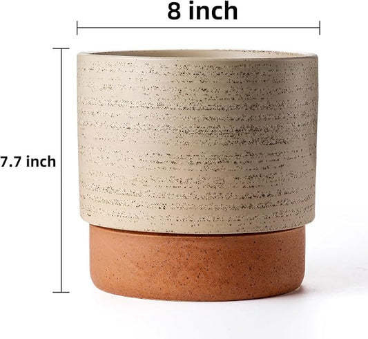 8 Inch Ceramic Self Watering Planter with Drainage Hole, Brush | Indoor Plant Pot with Water Storage Plus - for African Violet, Herbs & Pothos - Home & Office Decor, Cylinder Round