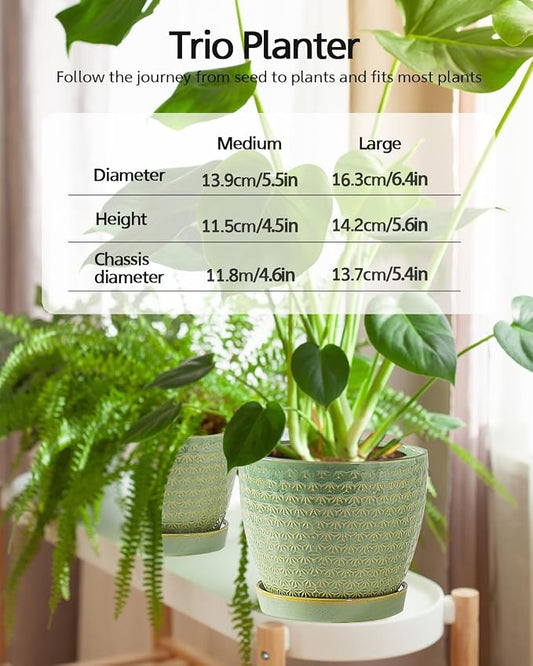 Plant Pots, Flower Pots, Planters for Indoor Plants(6.5+5.5inch), Flower Pots for Indoor Plant with Drainage Hole and Saucer, Ceramic Pots for Plants with Hole Mesh Pad,Sage Green