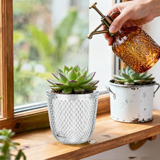 QCQHDU 2 Pack Self Watering Pots, 5.7 Inch, with Drainage Holes, Clear | Plastic Garden Planter with Water Filling Port for Indoor Plants