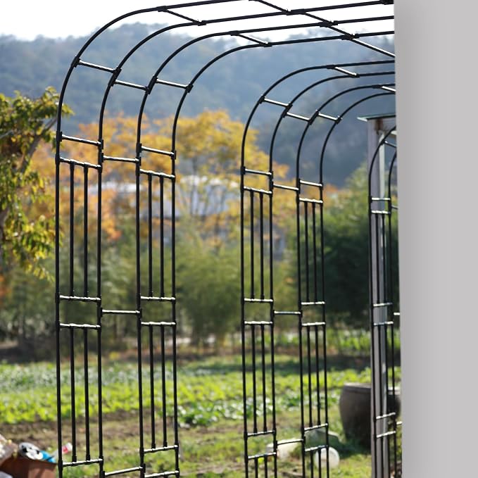 BUKLIYN Half Sided Arch Against The Wall Garden Trellis - Garden Arch Arbor Trellis for Climbing Plants Outdoor - Garden Arch for Home Yard and Garden