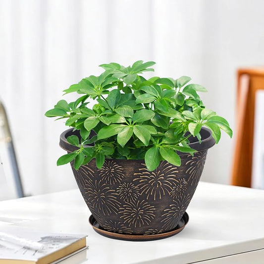 Nooulap 6 Pack 8 Inch Plant Pot, Flower Pots for Indoor Outdoor, Durable Decorative Planters for House Garden Plants Herbs Flowers Succulents, Antique Gold Firework Embossed Design