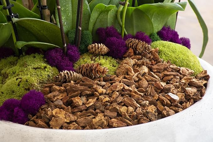 SuperMoss (23114) Orchid Potting Bark, Natural, 4 quarts (Pack of 8)