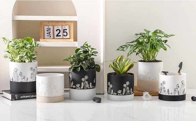 Nihow Ceramic Plant Pot,6 Inch Planter with Drainage Hole&Saucer for Indoor | White,Indoor & Outdoor, Cylinder Round Flower Pot, For Succulent/Herbs/Violets
