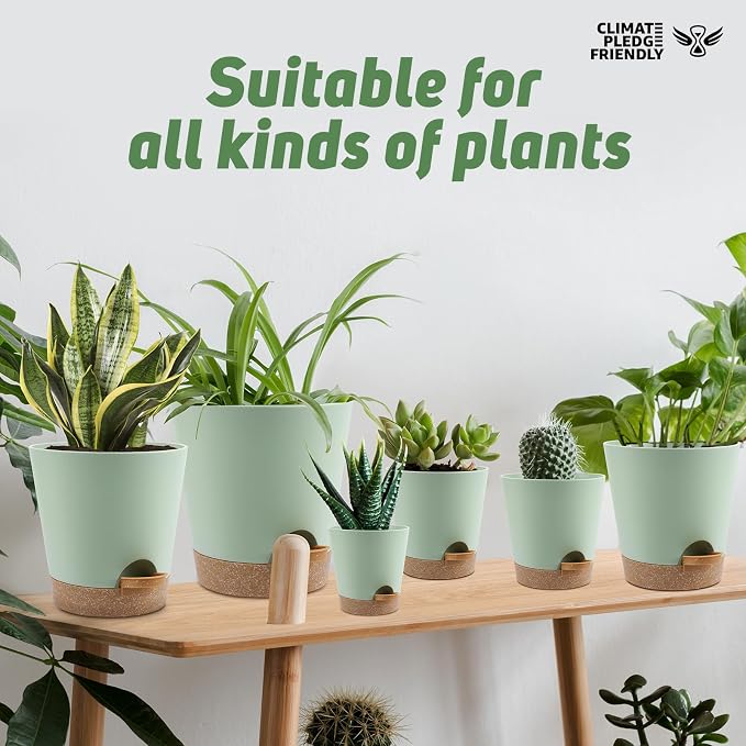 YNNICO Indoor Self Watering Planters with Drainage Holes and Saucers, 8, 7, 6.5, 6, 5.5, 5 Inches, Green, 6 Pots.
