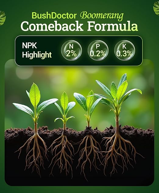FoxFarm Bush Doctor Boomerang - 2-0.2-0.3 Comeback Formula - Microbial-Based Liquid Plant Fertilizer for Root Zone Support, Immediate Nutrient Uptake - Helps Plants Recover from Abiotic Stress-1 Quart