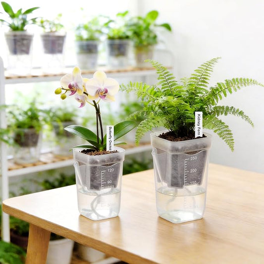 2” Clear Self Watering Pots for Indoor Plants, 8PCS Mini Plastic Nursery Planters with Water Level Indicator & Drainage Holes for Propagation,Succulents,Seedling,African Violet,Plant Labels