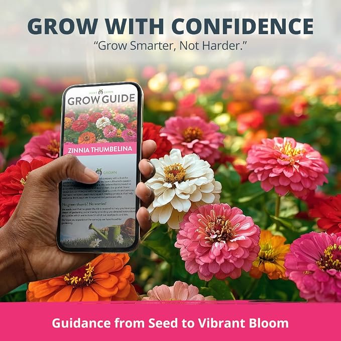 HOME GROWN Thumbelina Zinnia Seeds (1g) – 500 Dwarf Zinnia for Planting 2026, Spring Flower Seeds to Plant Outside, Easy Summer Garden Bloom for Containers & Borders (Zinnia elegans)