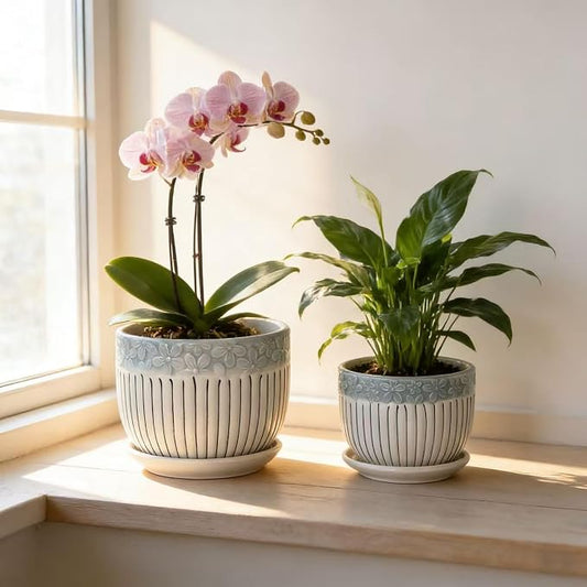 Vintage Flower Pots for Indoor Plant, Round Ceramic Plant Pots with Drainage Holes and Saucers, 6.7/5.2/3.9 Inches Retro Flower Planters Set of 3