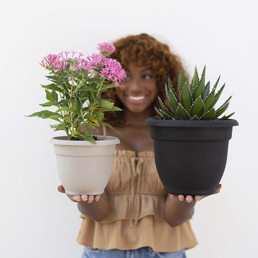 Bloem Ariana 10" Plastic Self-Watering Planter, Black | Self-watering disk at the bottom of the pot that acts as a water wick and reservoir for optimal plant health.