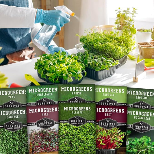 Microgreen Seeds Variety Pack – 10 Heirloom Types for Indoor Sprouting | Broccoli, Pea, Sunflower, Radish, Kale, Arugula & More – High Germination Non-GMO – Survival Garden Seeds (Seeds Only)