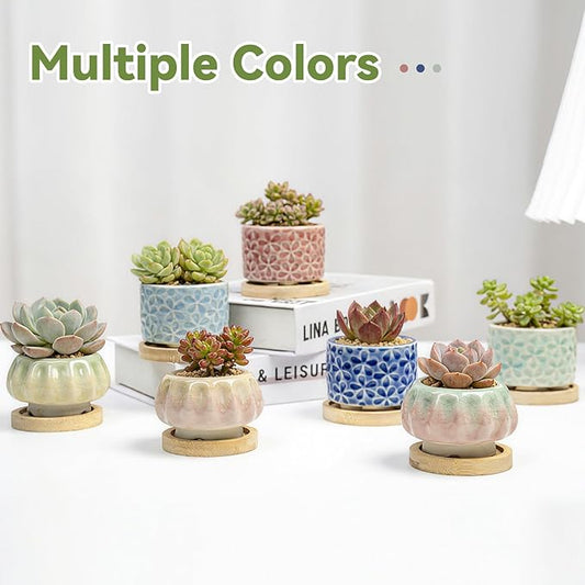 8 Pcs Succulent Pots with Ice Crack Glaze, 2 Shapes & 8 Colors Ceramic Succulent Planters with Drainage Holes & Bamboo Saucers, Indoor Plant Pots for Home Garden,Desk Decor, Office Decor, Gift Idea