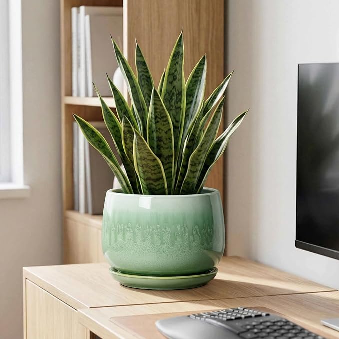 9 Inch Plant Pot - Ceramic Planter with Drainage Hole and Saucer, Decorative Ceramic Pots for Indoor Plants, Round Durable Flower Pot, Office House Patio Decor, Gifts for Plant Lovers, Green