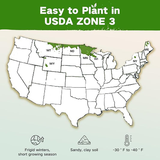 USDA Zone 3 Seed Bank, Gardening Gifts for Women Men, 32 Type Non-GMO Seeds | 30,000+ Heirloom Seeds for Planting Vegetables Herbs Fruits, Year Round Survival Seed Vault Kit, Raised Garden Bed Greenhouse