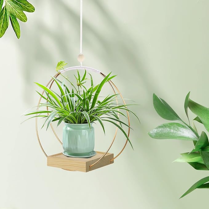 hismocal Hanging Planter for Indoor Plants, Plant Hanger with Sturdy Wood Base,Modern Boho Macrame Plant Hanger,Wall Ceiling Window Stands(Plants/Pots Not Included)