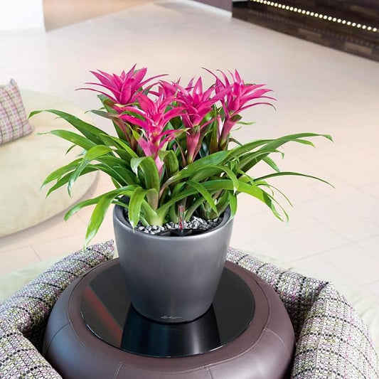 Lechuza Classico LS 35 Charcoal Metallic, Self-Watering Round Planter, D13.8 H13 in