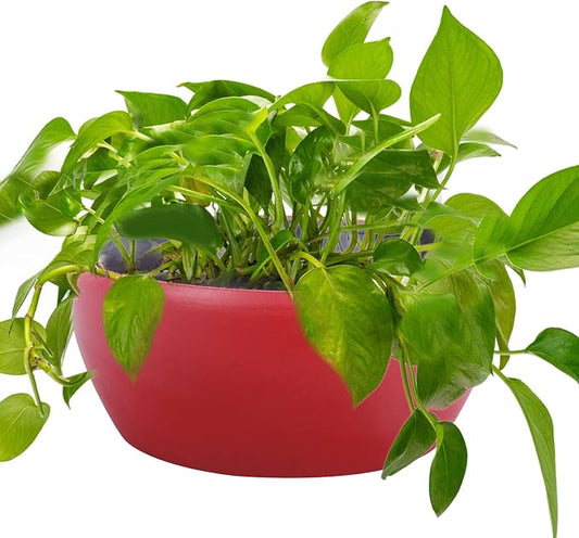 Vencer 11 Inch Plastic Round Self Watering Planter,Water Indicator,Modern Decorative Planter Pot for All House Plants Flowers, Herbs, Vegetables, Tropical,Red,VF-048R