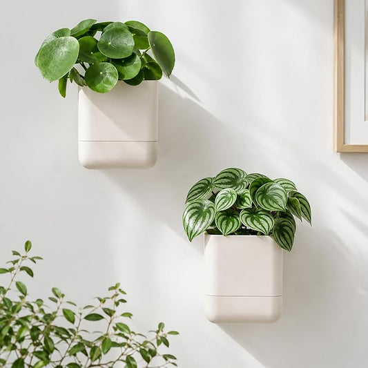 Phoenix Vine 4.5 Inch Wall Mounted Self-Watering Planter Pot for Indoor Houseplants and Herbs | Hanging Planter for Window Sills, Bathroom Walls, Home & Office Décor, Oatmeal, Set of 2, 01-B-G-2
